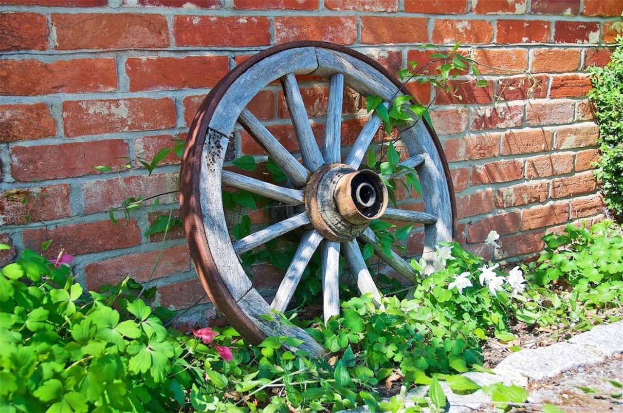 Northlands Farm - Old Farm Cottage Chichester Dış mekan fotoğraf