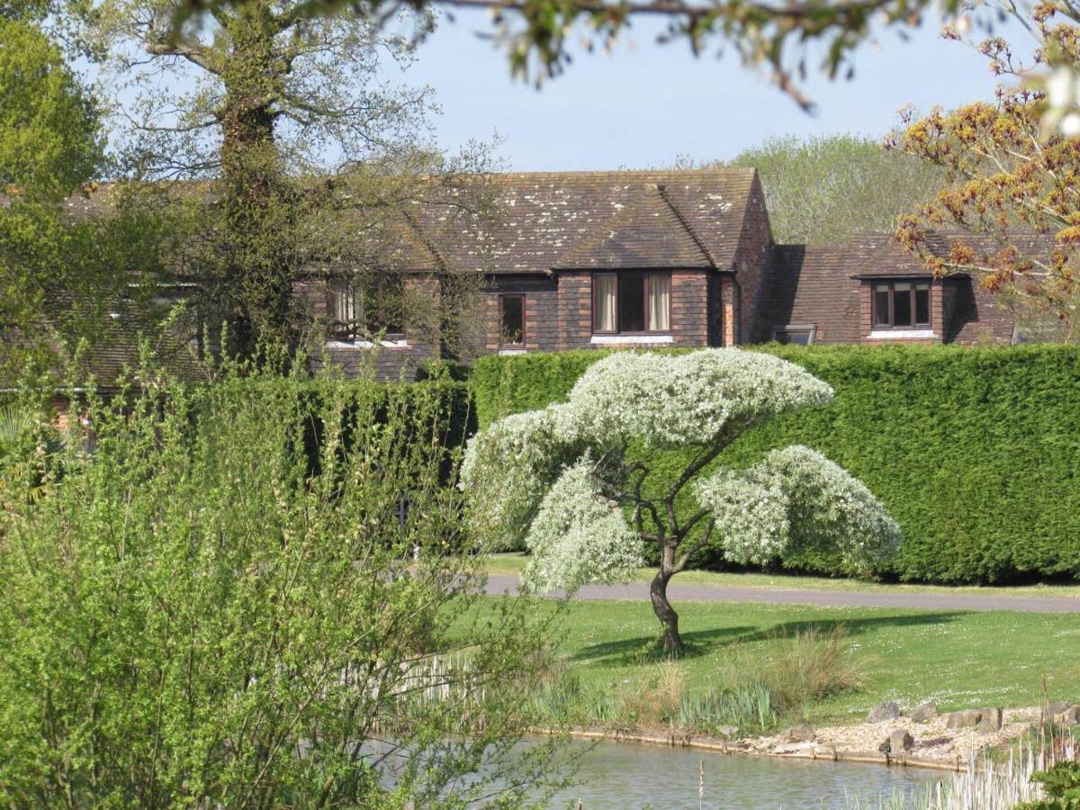 Northlands Farm - Old Farm Cottage Chichester Dış mekan fotoğraf